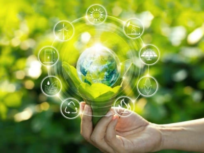 service-1-1 environmental & sustainable development programs